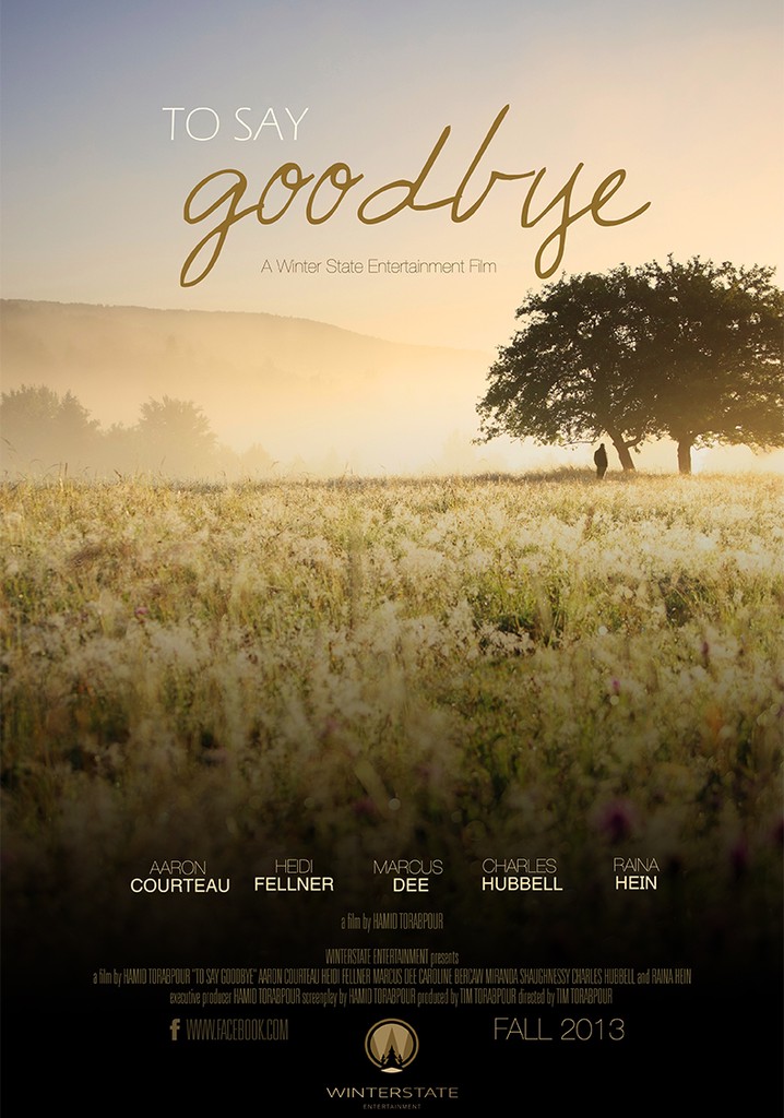 To Say Goodbye streaming where to watch online?